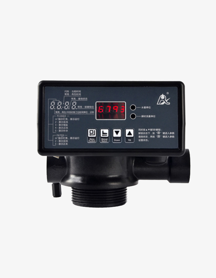 Runxin F67Q1 Filtre Kontrol Valfi